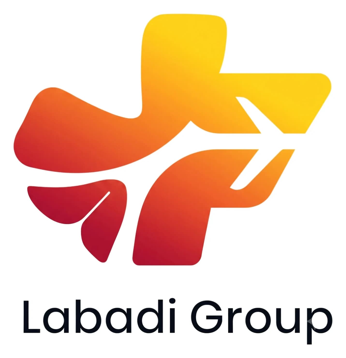 Logo Labadi Group