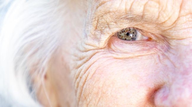 Cara Mengatasi Degenerasi Kerusakan Penglihatan