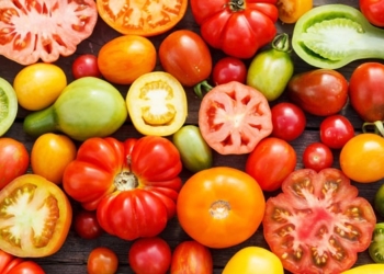 Konsumsi Makanan Mengandung Quercetin Tinggi