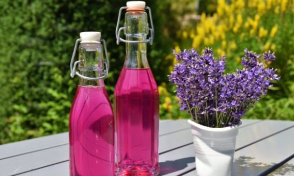 Coba 5 Bahan Alami Pengusir Nyamuk