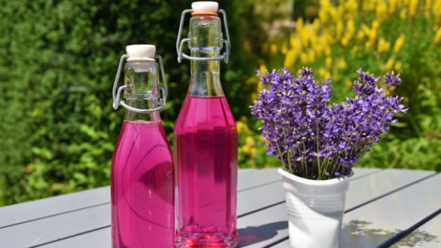 Coba 5 Bahan Alami Pengusir Nyamuk