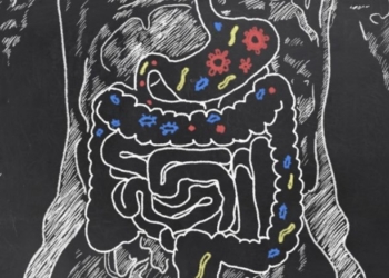 Wow, Walau Tanpa 7 Organ Tubuh Ini Manusia Tetap Dapat Hidup!