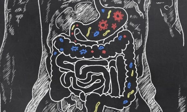 Wow, Walau Tanpa 7 Organ Tubuh Ini Manusia Tetap Dapat Hidup! Wow, Walau Tanpa 7 Organ Tubuh Ini Manusia Tetap Dapat Hidup!