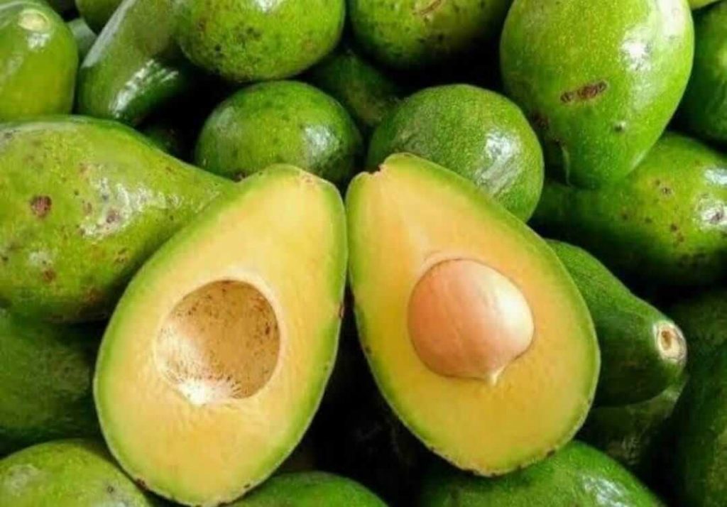 Buah Alpukat - Cara Mengatasi Rambut Rontok dengan Bahan yang Alami